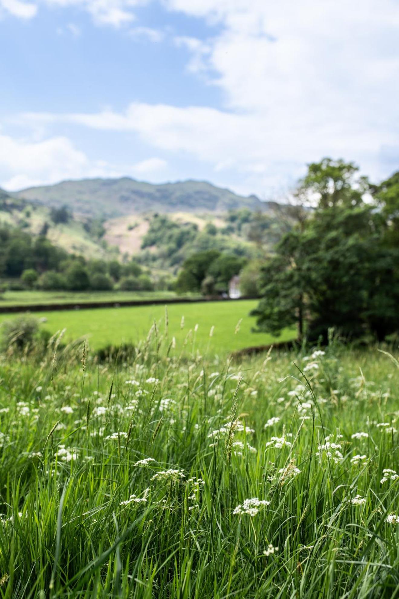 Hotel Lancrigg Grasmere Zewnętrze zdjęcie